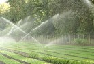 Brunswick Northlandscaping-water-management-and-drainage-17.jpg; ?>